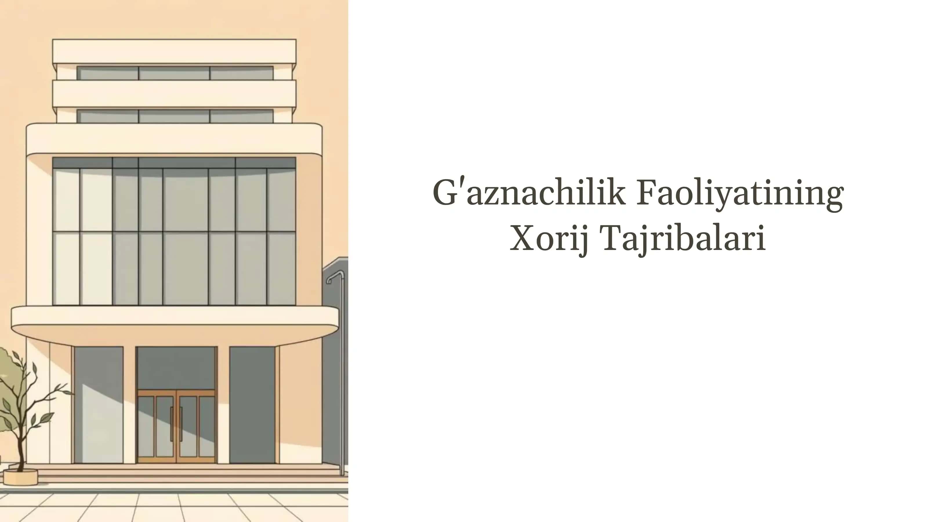 G'aznachilik faoliyatining Xorij tajribalari