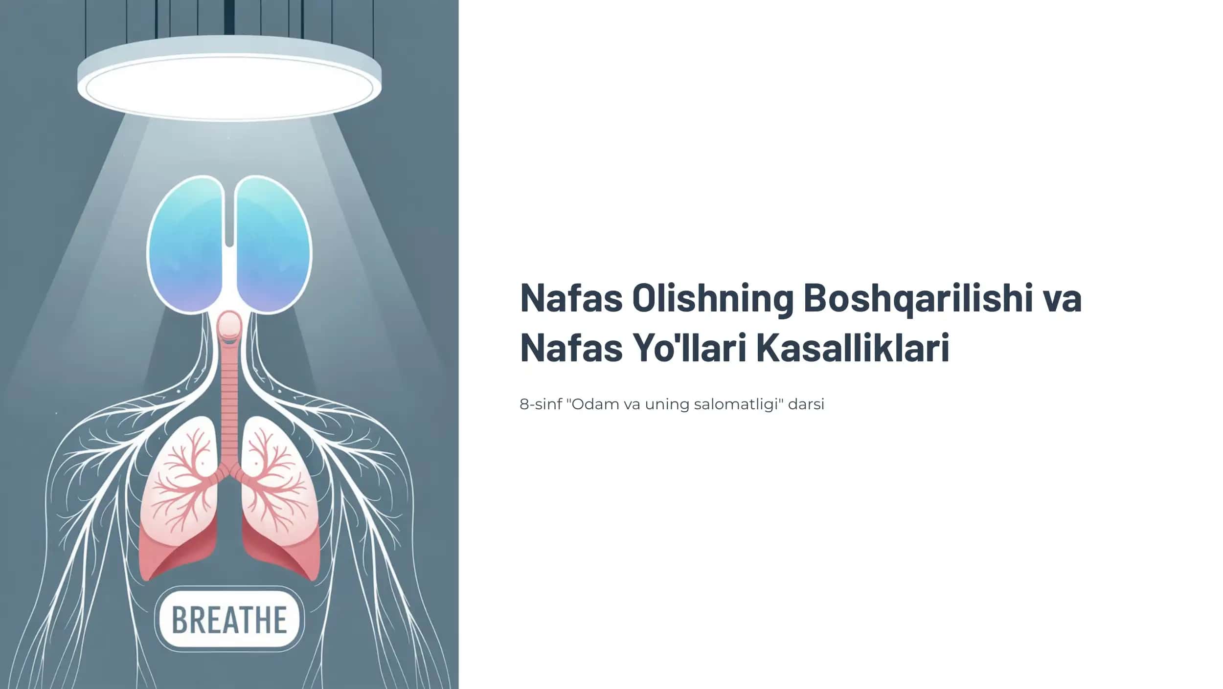 Nafas Olishning Boshqarilishi va Nafas Yo'llari Kasalliklari
