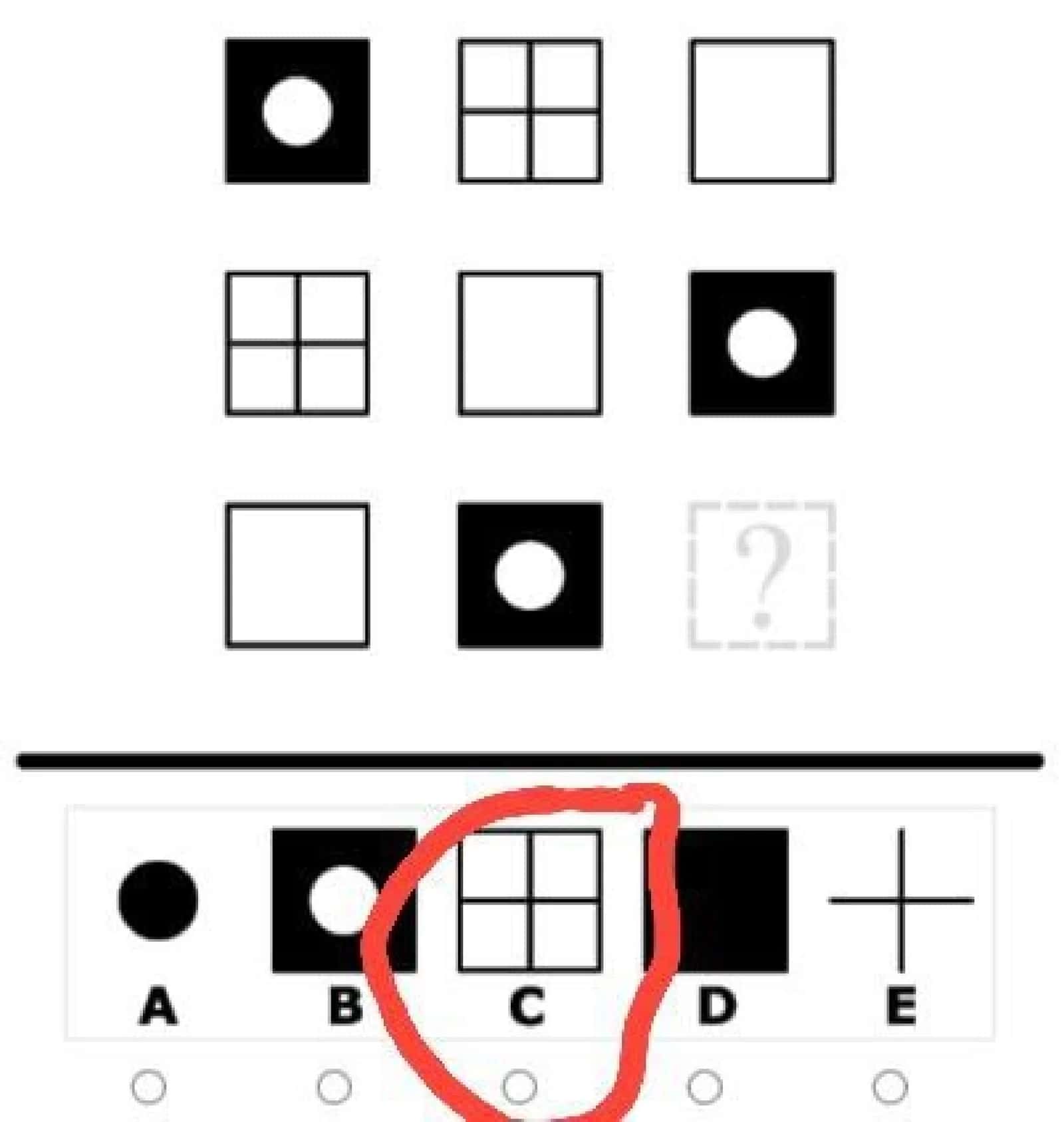 ARGOS iQ test 2025