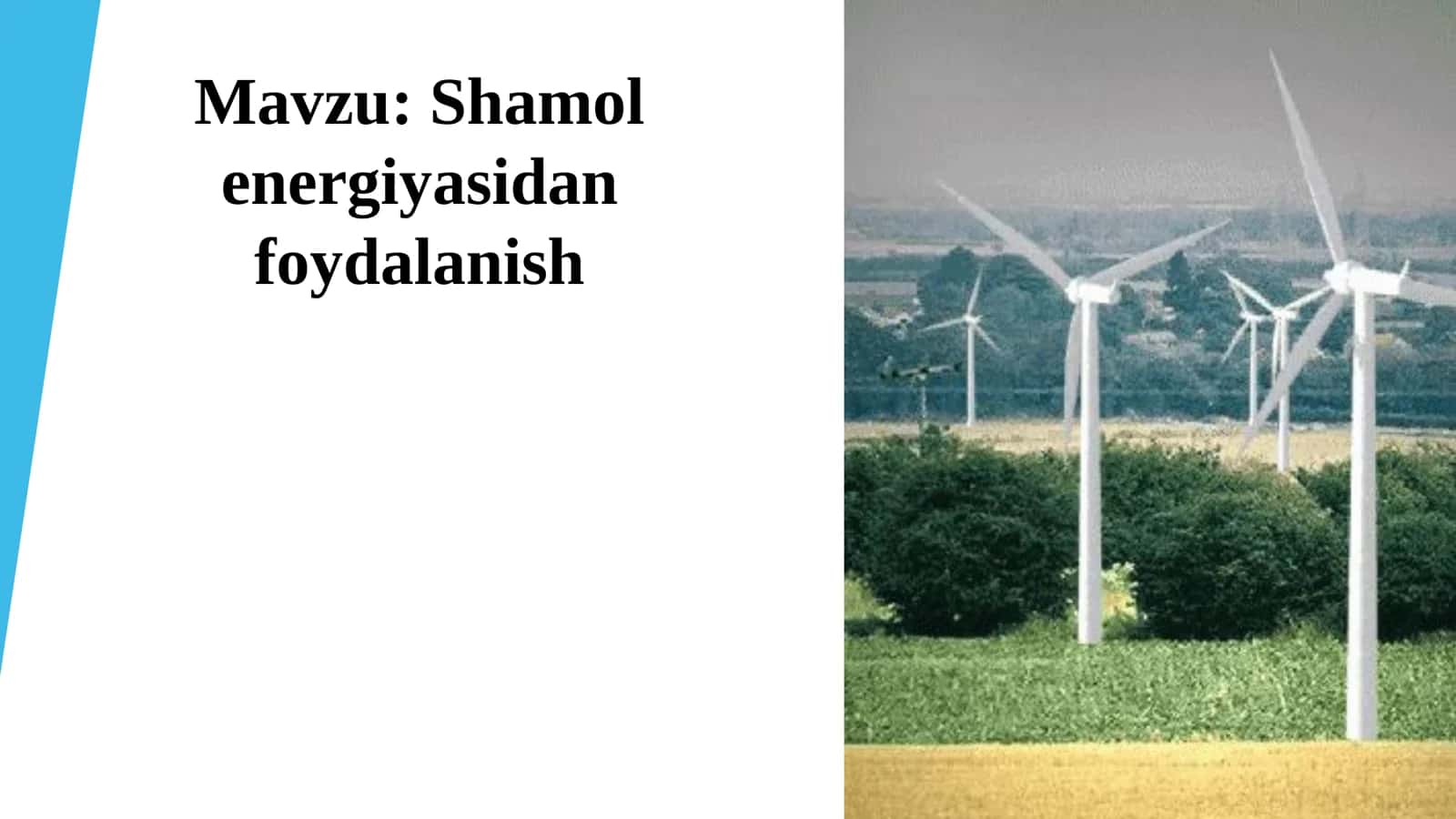 Shamol energiyasidan foydalanish