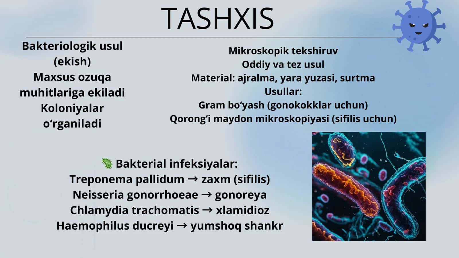 Bakteriologik usul