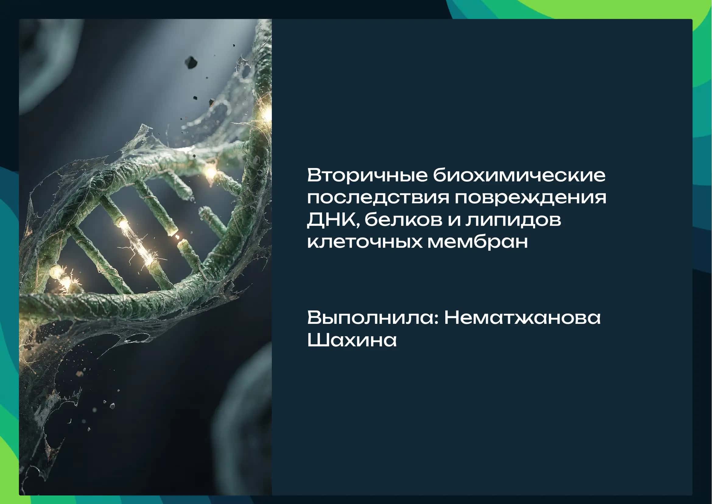 Вторичные биохимические последствия Повреждение ДНК, белков и липидов клеточных мембран.