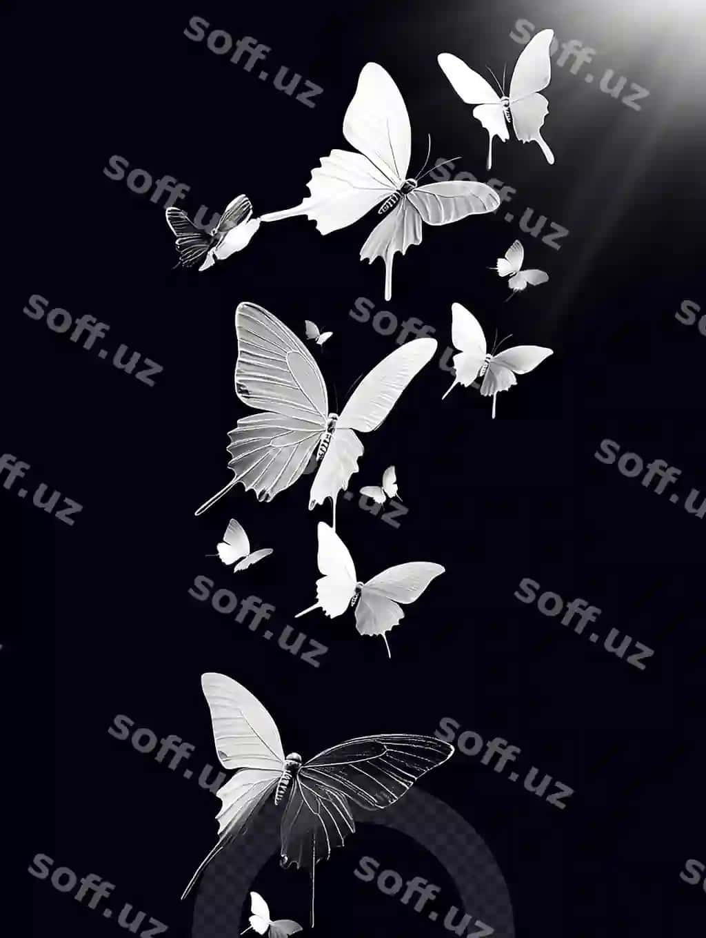Oq parasutlar parvozi | White butterflies flight