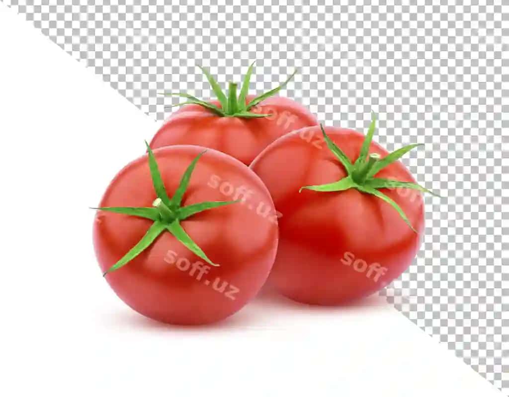 Yangi pomidorlar ajraltirilgan | Fresh tomato vegetables isolated