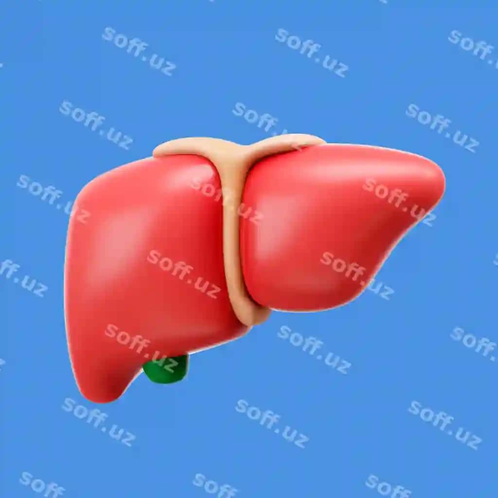 3d renderlangan inson tanasi ikonasi | 3d rendering human body icon 2