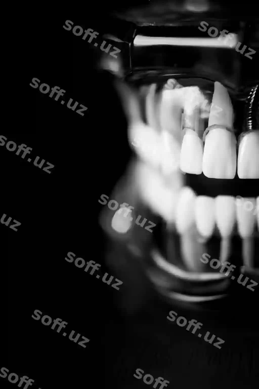 Yaqin murojaat qilingan teksiz tishlar qora fonda | Close up dentures against black background