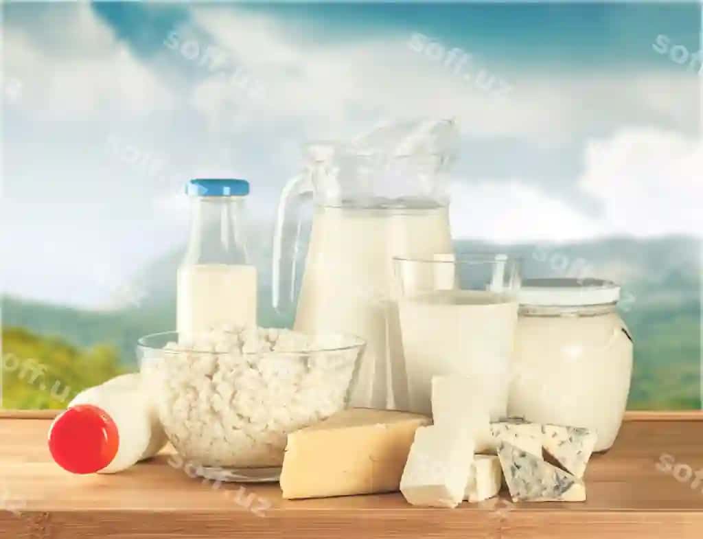 Sut mahsulotlari to'plami yog'ochli stol | Dairy products collection wooden table