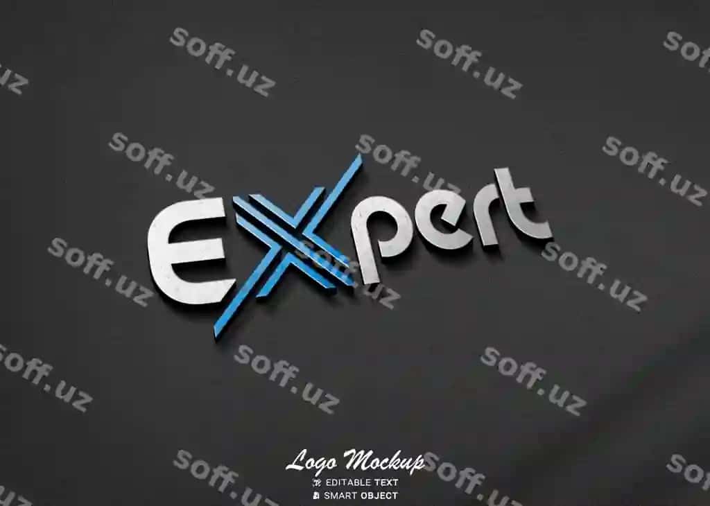 Korporatsiya logotipi namunasi | Corporate logo mockup 2
