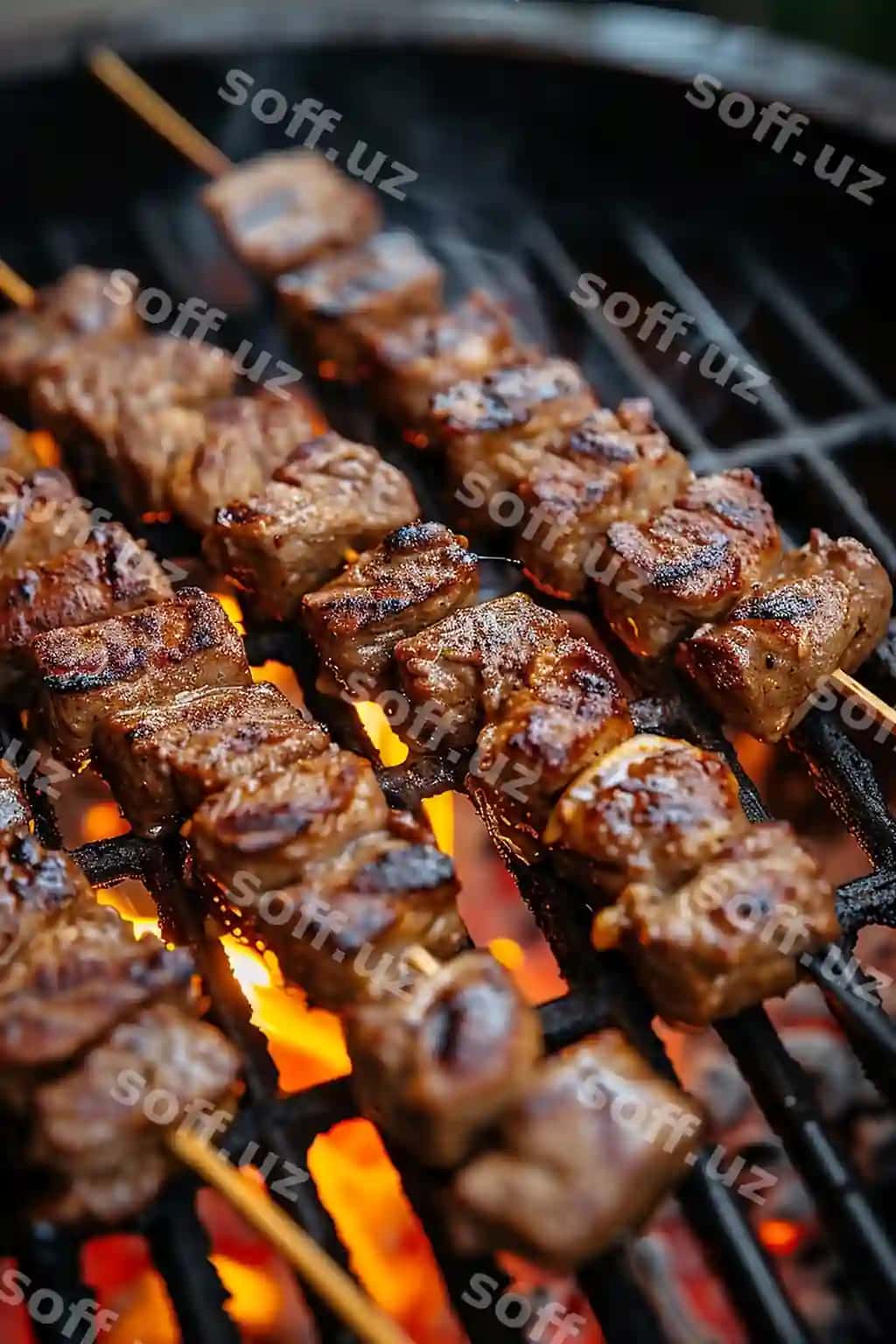 Grill bilan bir nechta turli xil go'sht paz etiladi. | Grill with several different types meat cooking it
