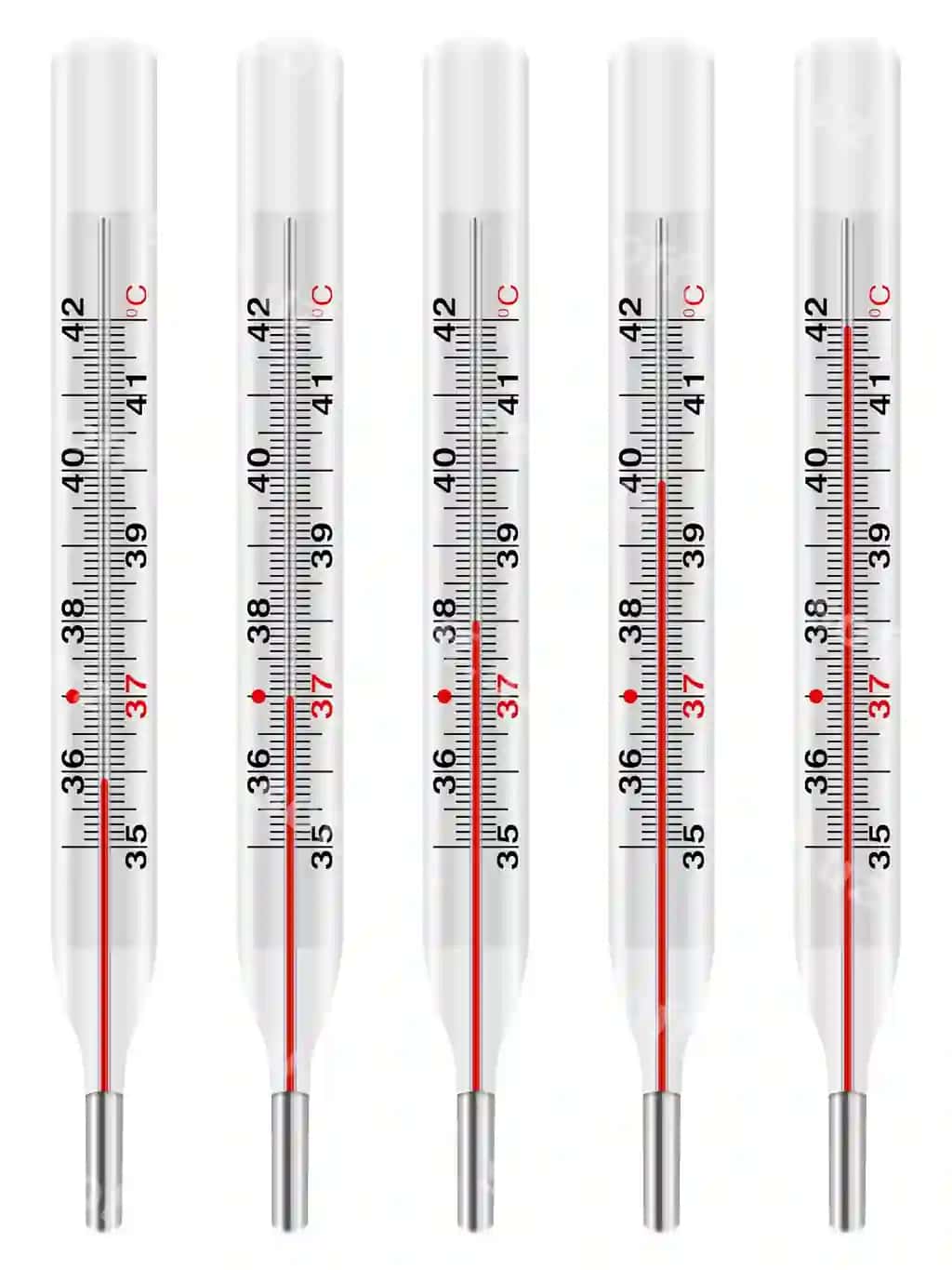 Tibbiy termometr komplekti | Medical thermometer set 2