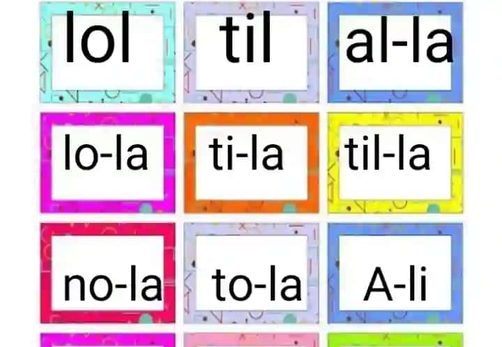 1 - 4 sinf rangli bo'g'inlilar