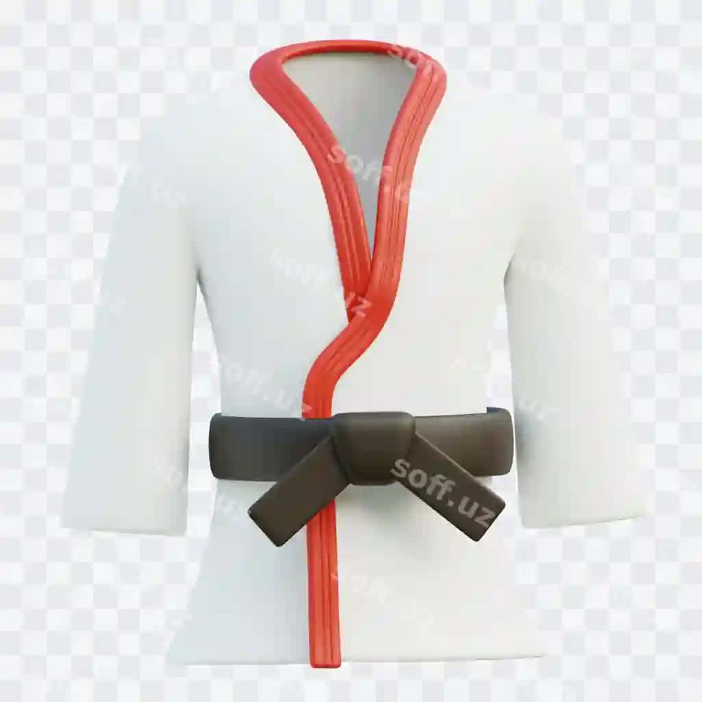 Karate uch oʻlchovli illustratsiyasi | Karate 3d illustration