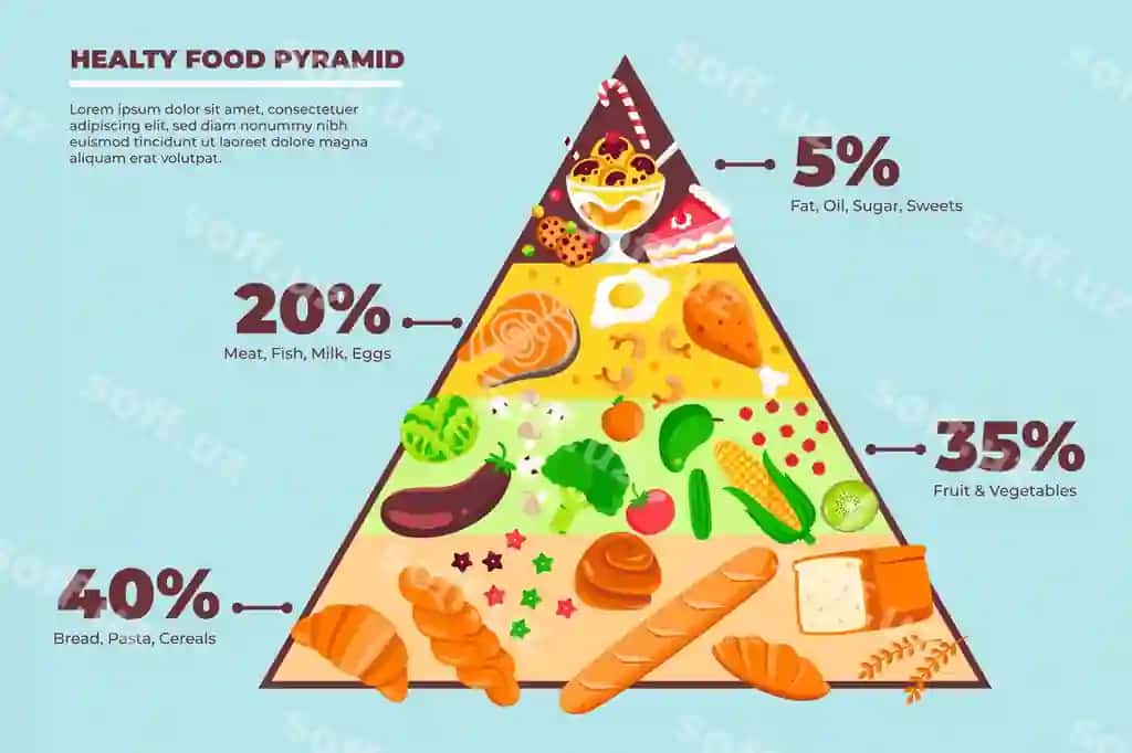 Ovqat piramidasi ovqatlanish konsepsiyasi | Food pyramid nutrition concept 2