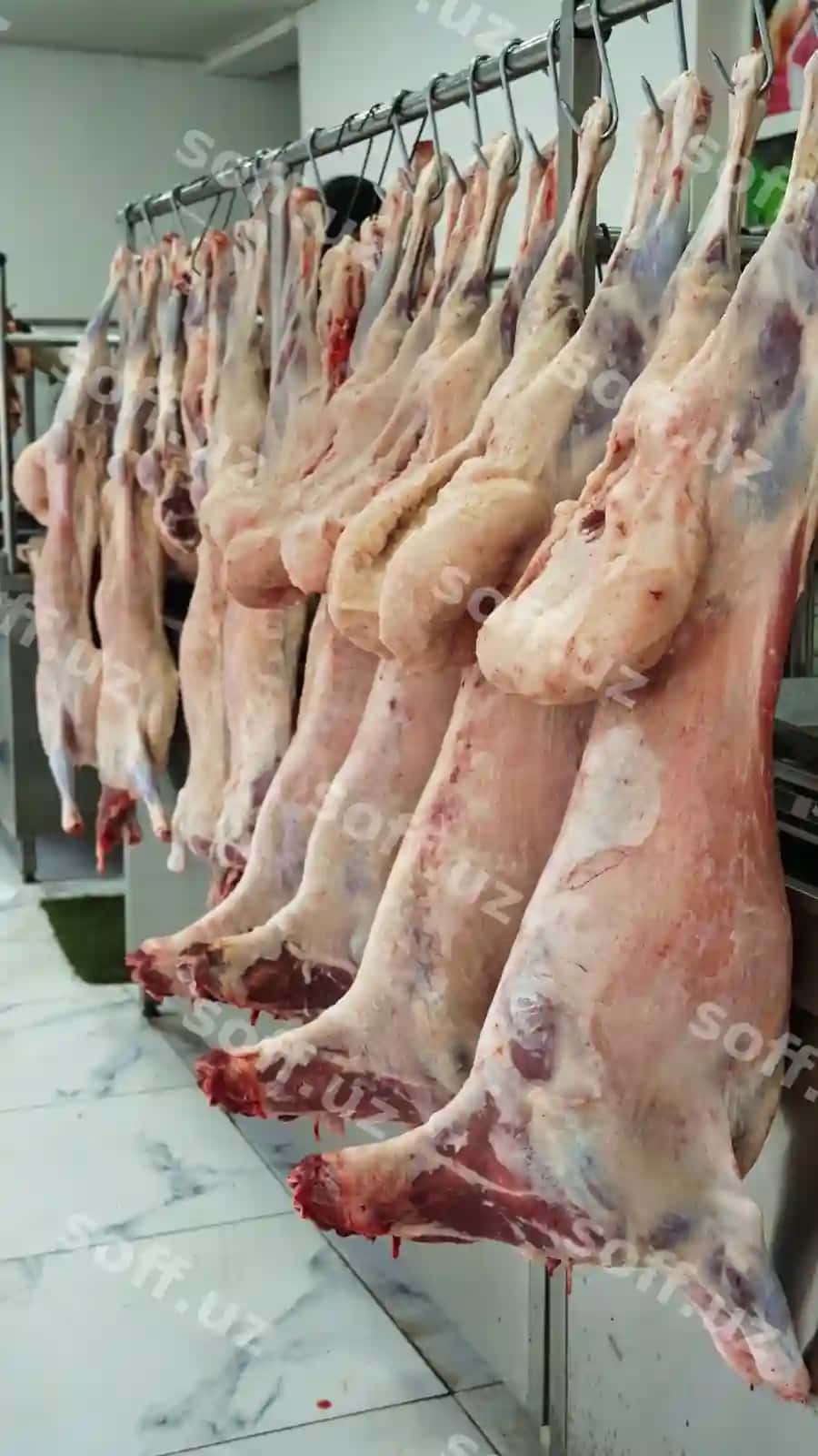 Qassob do'koni go'sht ashiriladigan qozonlar | Butcher shop meat hanging hooks 2