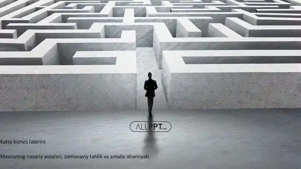 Katta biznes labirint Taqdimoti (48 Slayd)