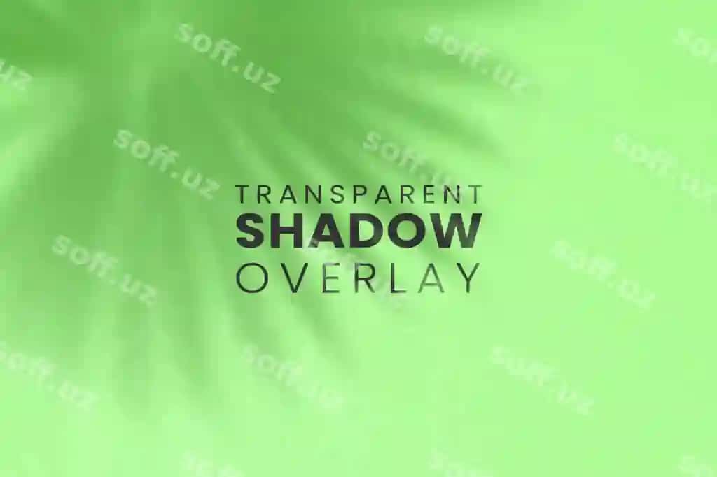 Shablon shaffof o'simlik bargi soya bilan | Template with transparent plant leaf shadow