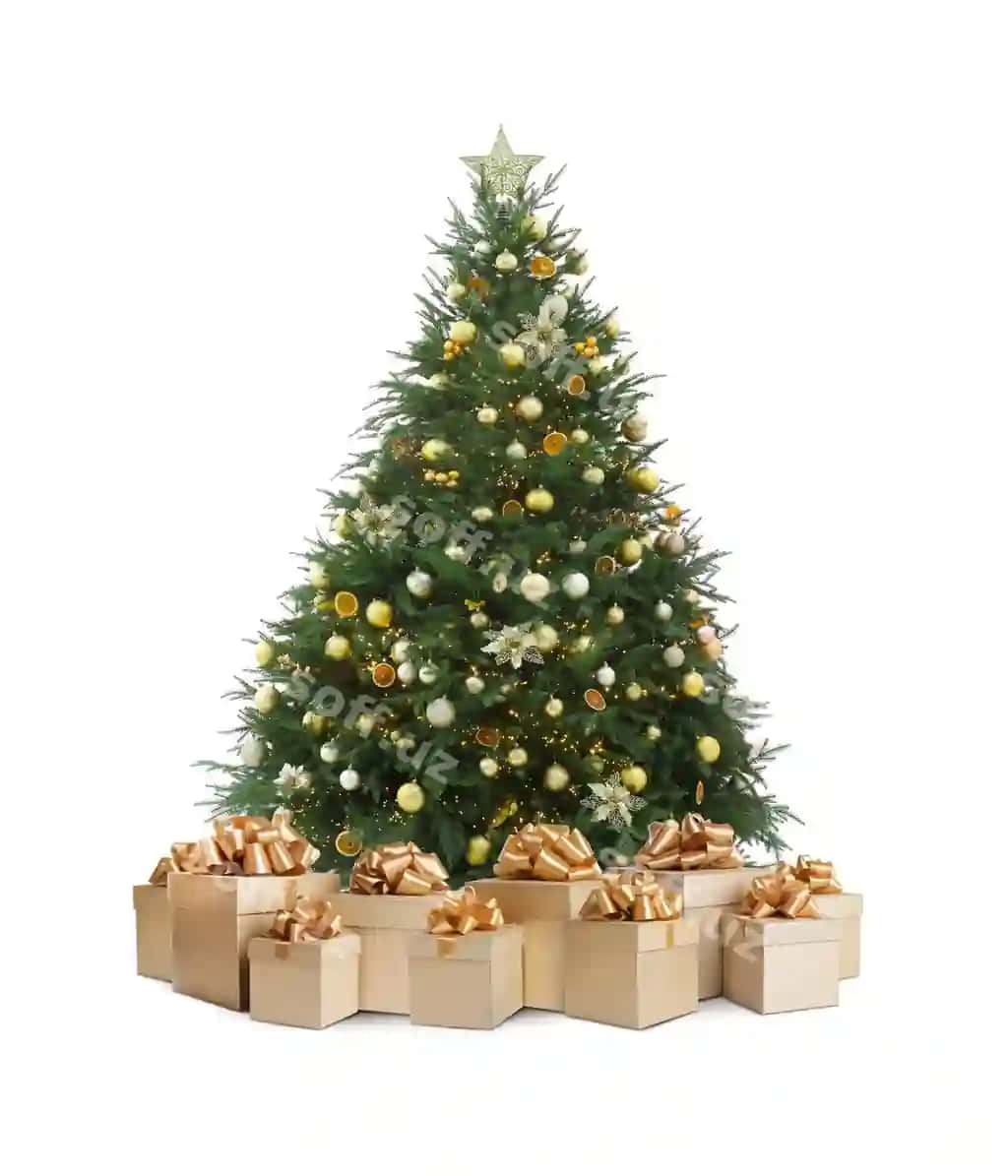 Chiroyli chatir daraxti ko'plab sovg'a qutilari bilan oq orqa fonda | Beautiful christmas tree with many gift boxes white background