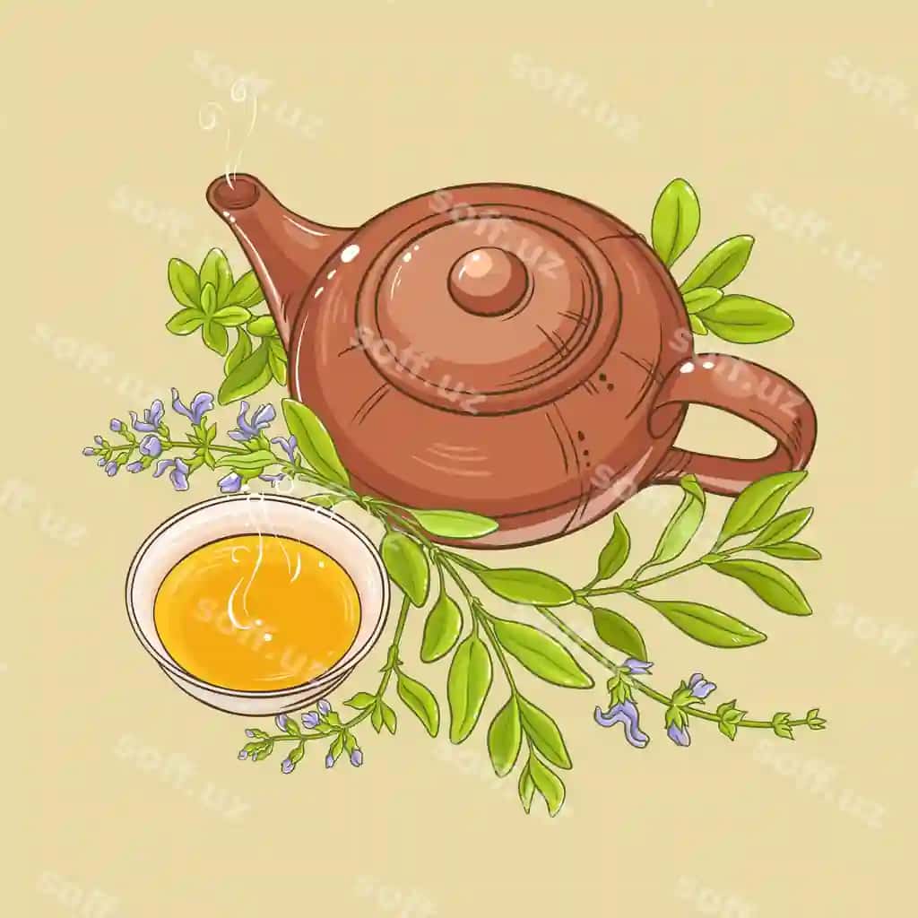 Kashnich choyi illustratsiyasi | Sage tea illustration