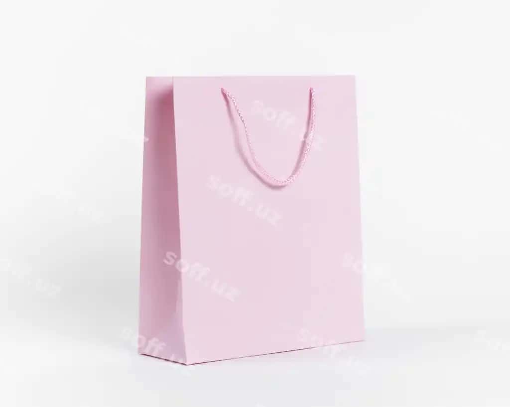 Qog'oz sumka konseptsiyasi bilan namuna | Paper bag concept with mock up 2