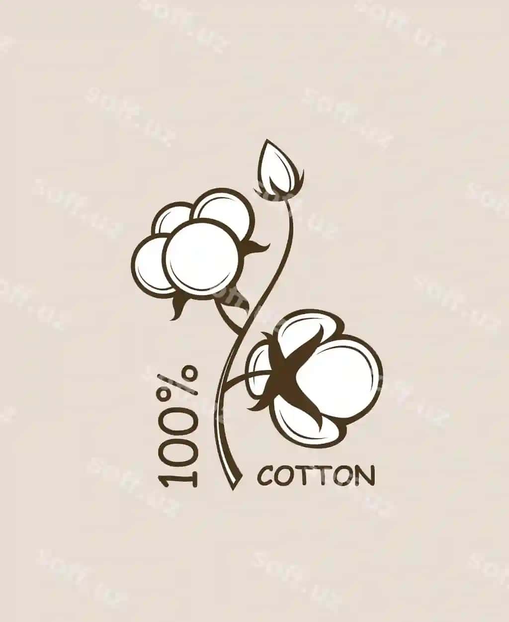 Paxlək o'simliosining dara | Cotton plant branch