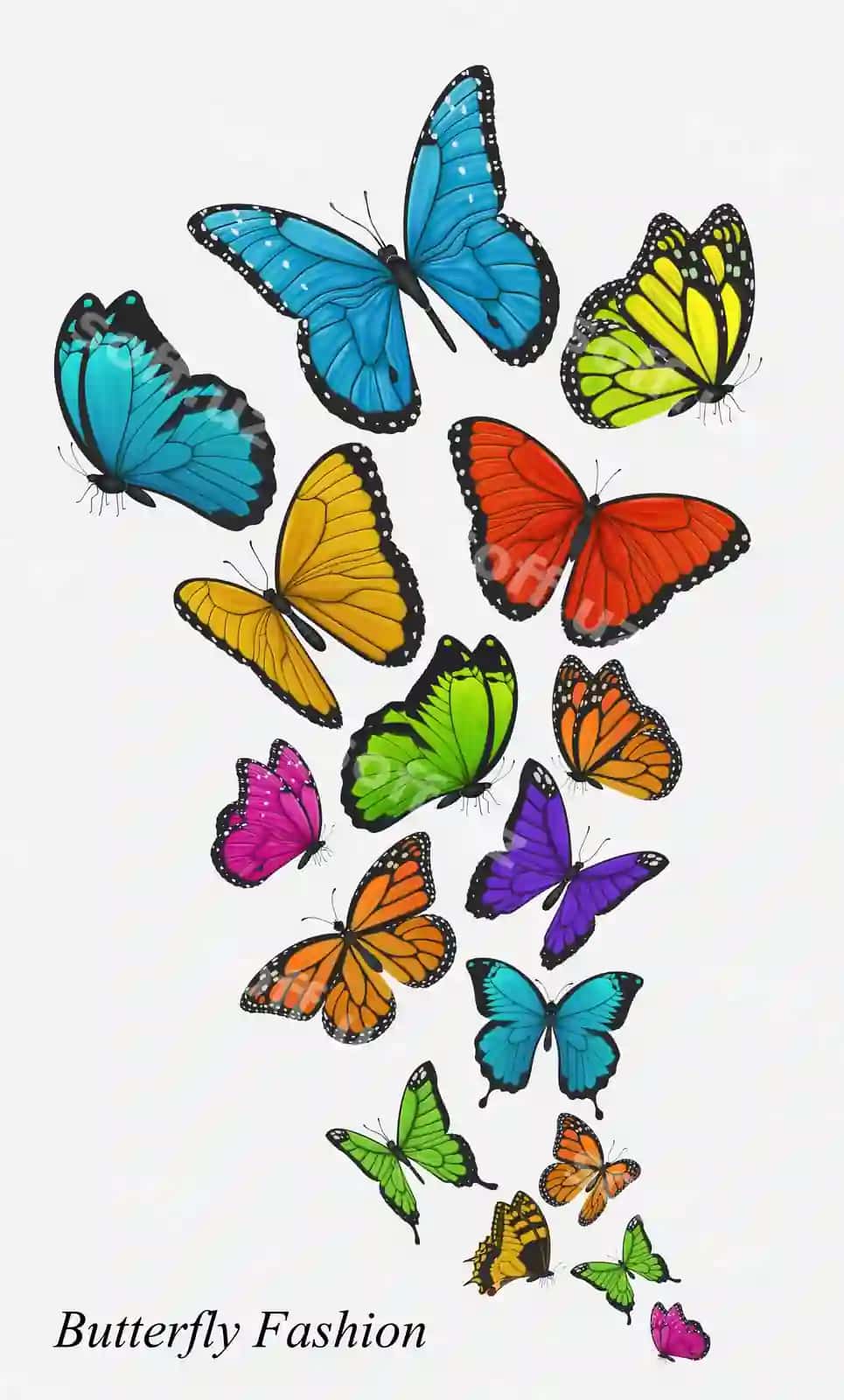 Rangli kotibochkalar ajraltirilgan kulrang | Colorful butterflies isolated grey 2