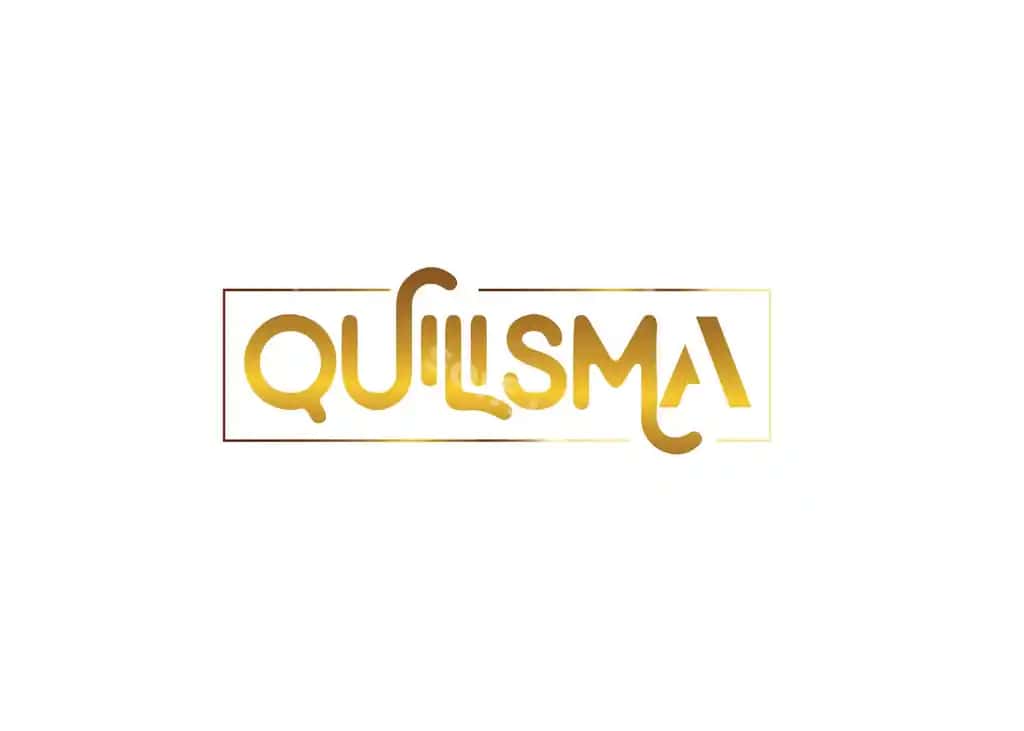 Zamonaviy kvilizma logotipi dizayni | Modern quilisma logo design 2