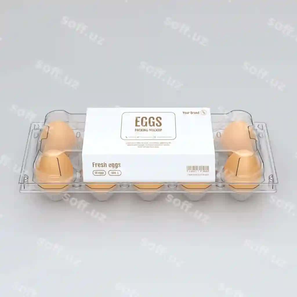 Tuxmatlar modeli | Eggs mock up 2