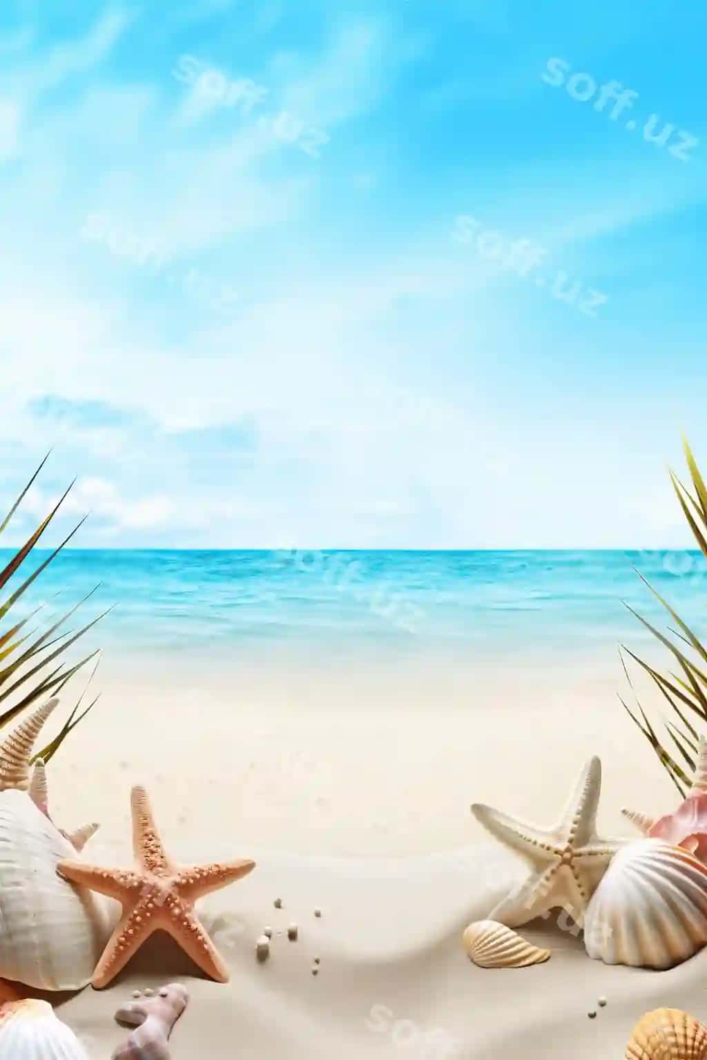 Sohil ramka dizayni ko'k dengiz oq qum | Seaside frame design with blue sea white sand