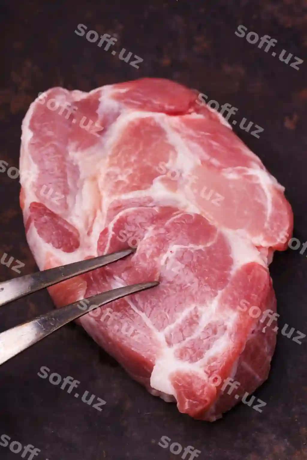 Hovo goti steyki bo'g'im qorong'iq orqa fonda | Raw pork steak neck dark background