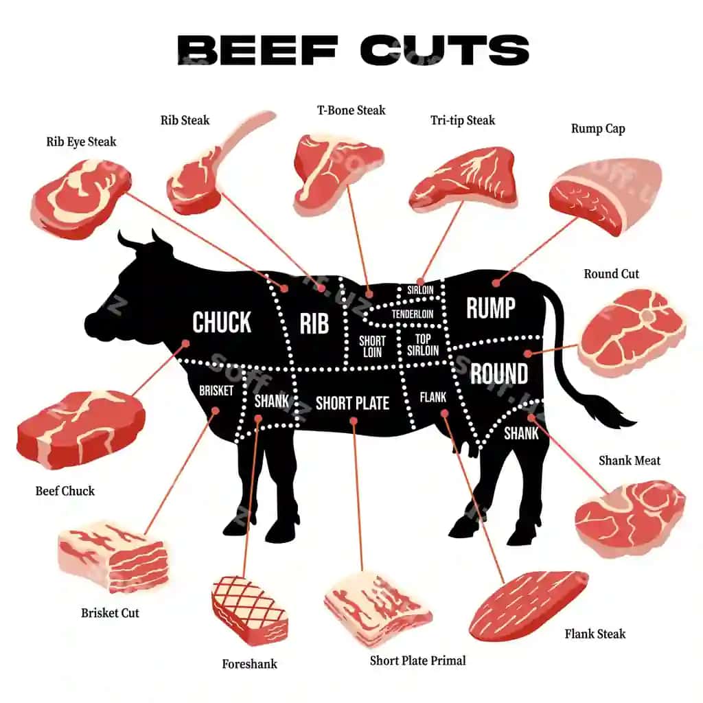 Illustratsiya mol go'shti kesimlari to'liq tavsiflangan | Illustration beef cuts complete with descriptions