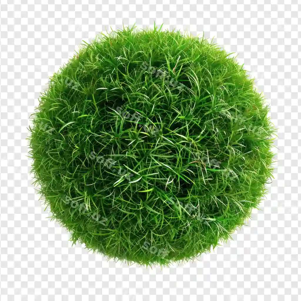 Suzgan doira chaman to'p ajratilgan shaffoflik orqa fon psd | Floated round grass ball isolate transparency background psd 2