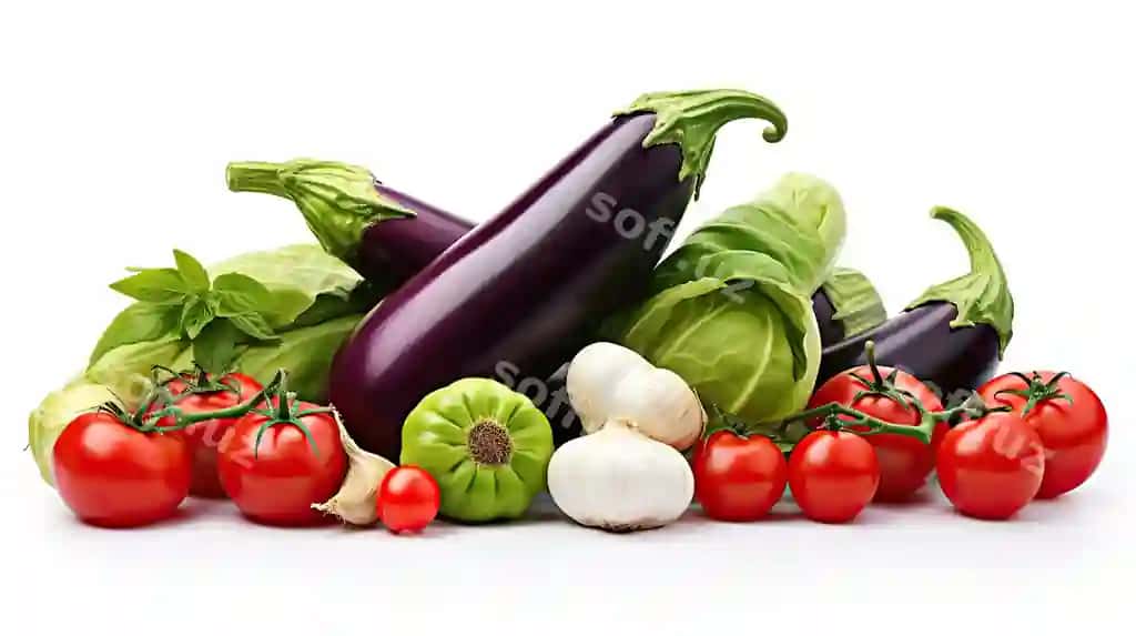 Turli xil taze sabzavotlar oq fonda ajraltirilgan ratatouille ingredient kontseptsiyasi | Various fresh vegetables white background isolated ratatouille ingredient concept