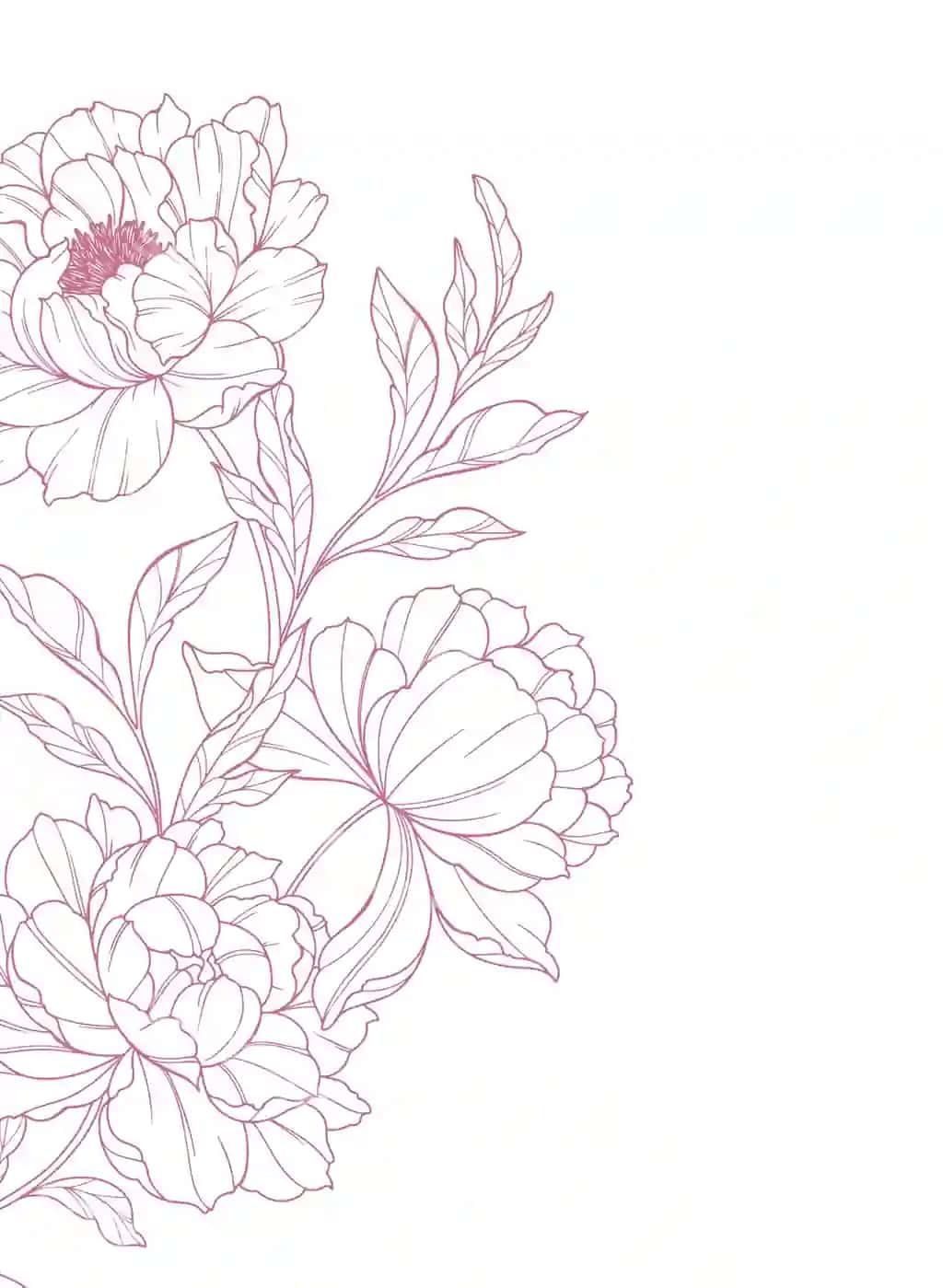 Pion chizma san'ati moda gulli Pion buketlari gullar botanik chizma | Peony line art trendy floral peony bouquets flowers botanical line