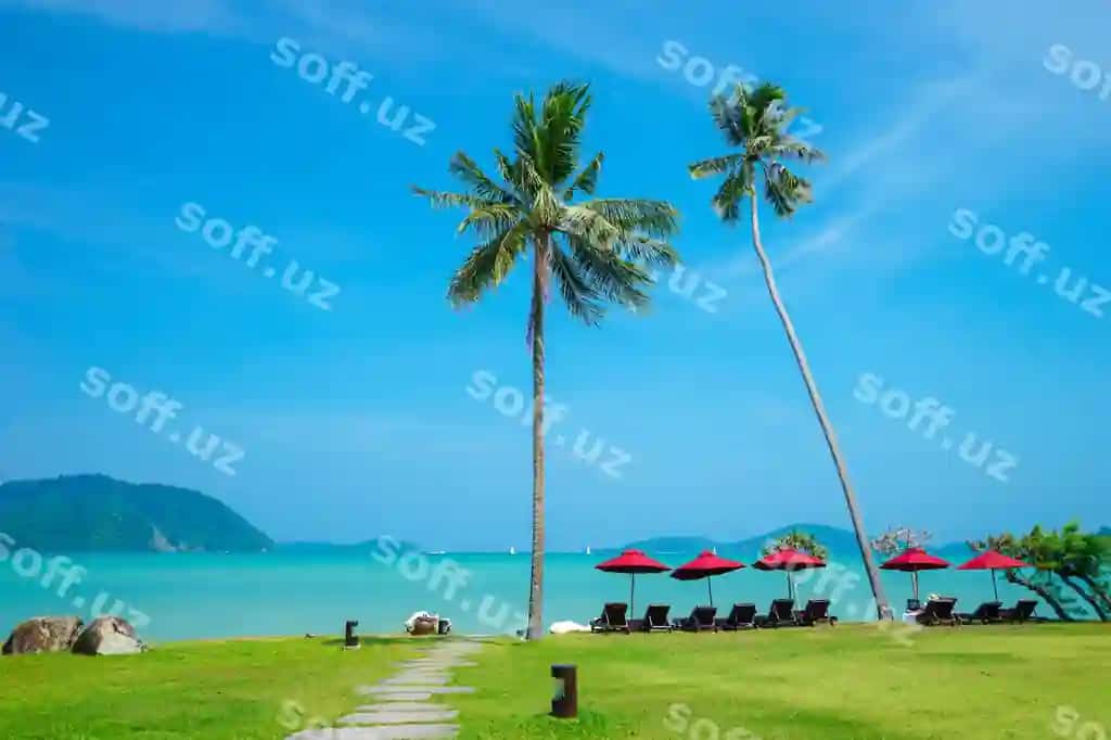 Yashil chaman, naryn, yashil ko'k suv, ko'k osmon, chiroyli yoz manzarası, Tailand. | Green grass coconut tree turquoise water blue sky beautiful summer landscape thailand