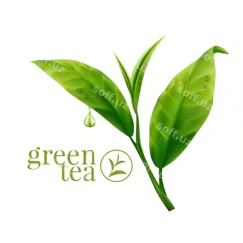 Haqiqiy yashil choy varaq orqa fon | Realistic green tea leaves background