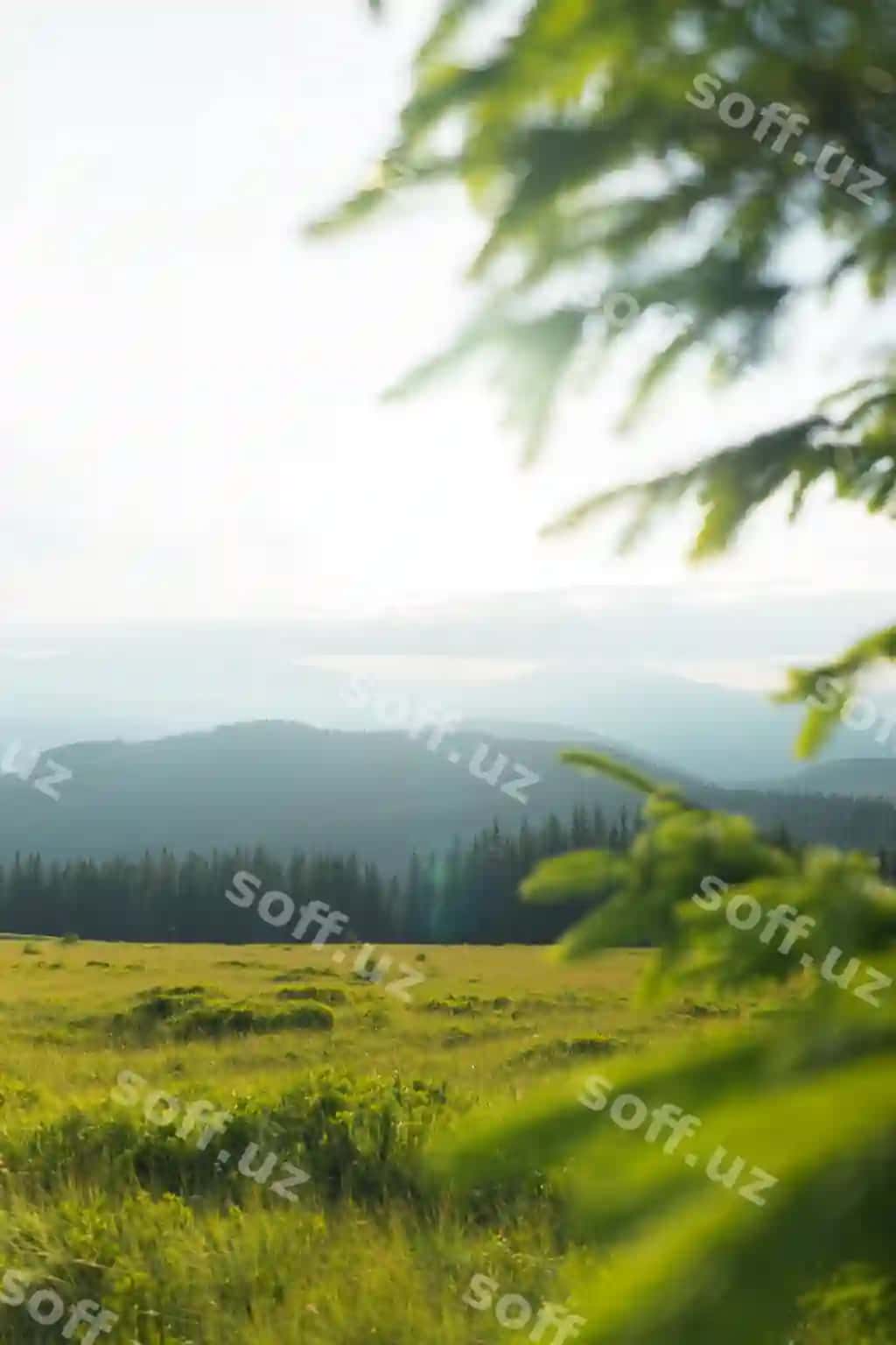 Go'zal manzilma todlar siluetlari, uchlar, o'rmon daraxtlar, quyosh nurhlari, yashil sayohat | Beautiful landscape mountains silhouettes peaks forest treessun rays travel green
