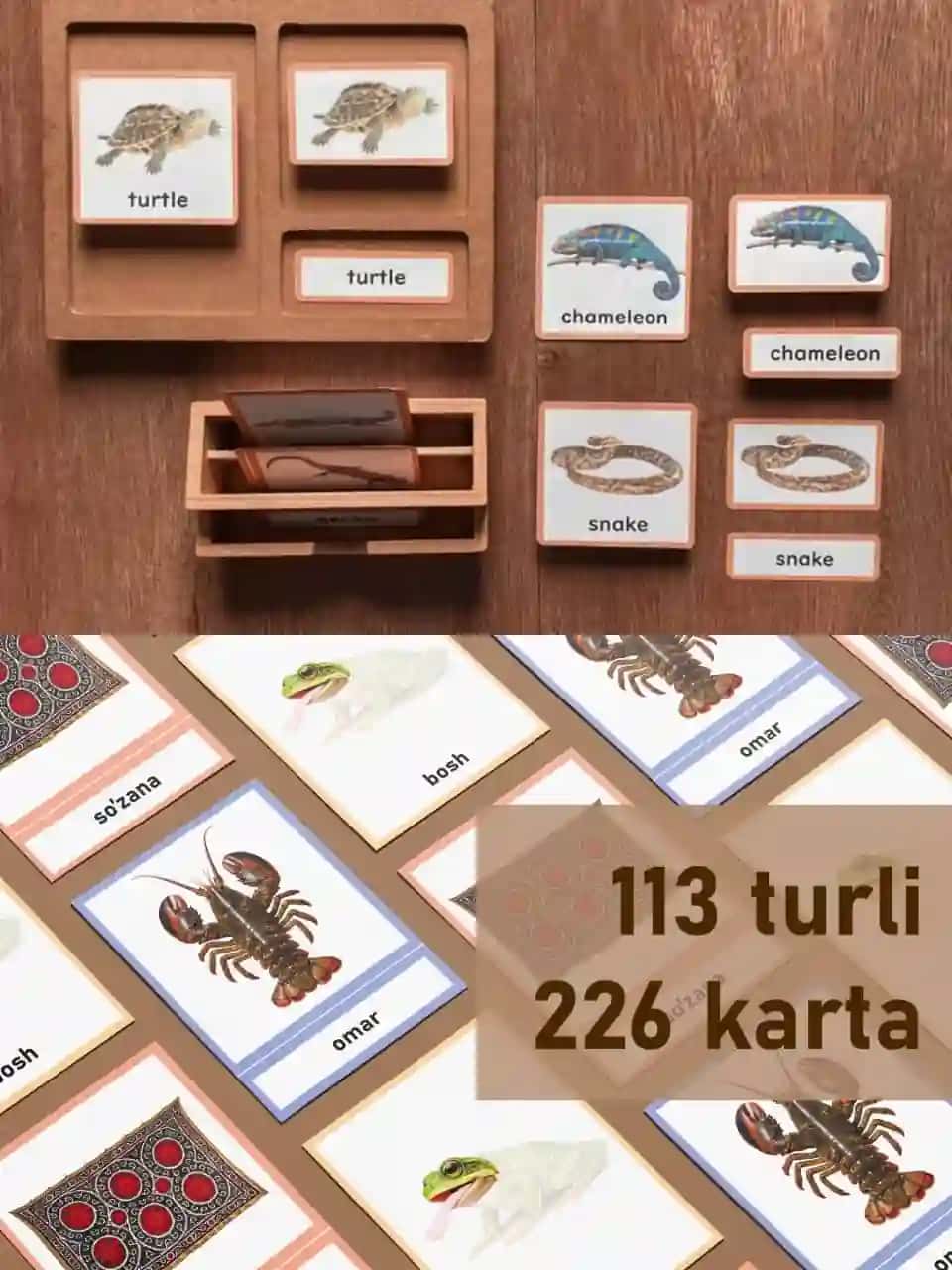 Montessori nomenklatura kartochkalari