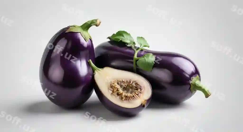 Ikki baqaliy, har biri yaproqli yuqori qismi bilan | Two eggplants with leaf top one with leaf top 2