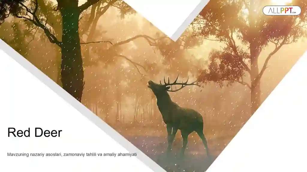 Red Deer Taqdimoti (60 Slayd)