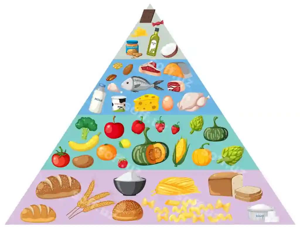 Rangli ovqat piramidasi vektor illustratsiyasi | Colorful food pyramid vector illustration