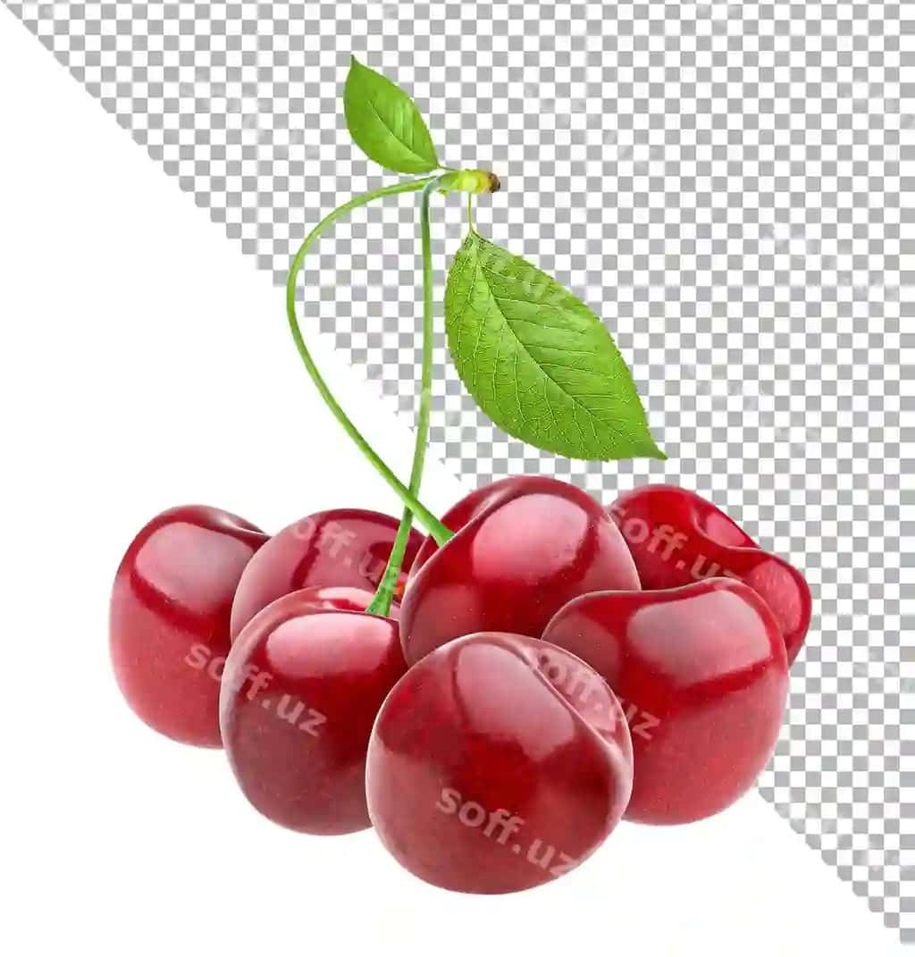 Olcha ajraltirilgan oq fonda | Cherry isolated white background 2