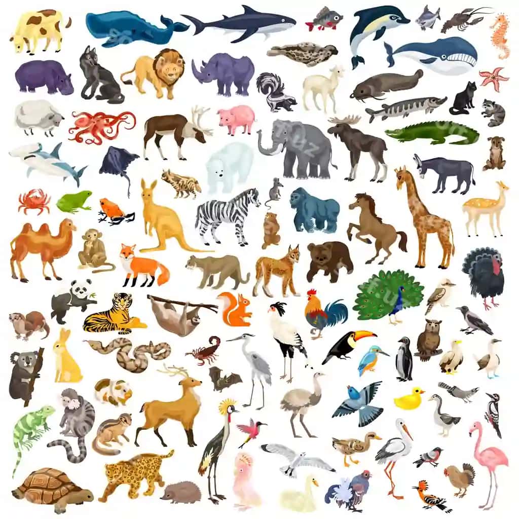 Hayvonlar ikonkalar to'plami | Animals icon set