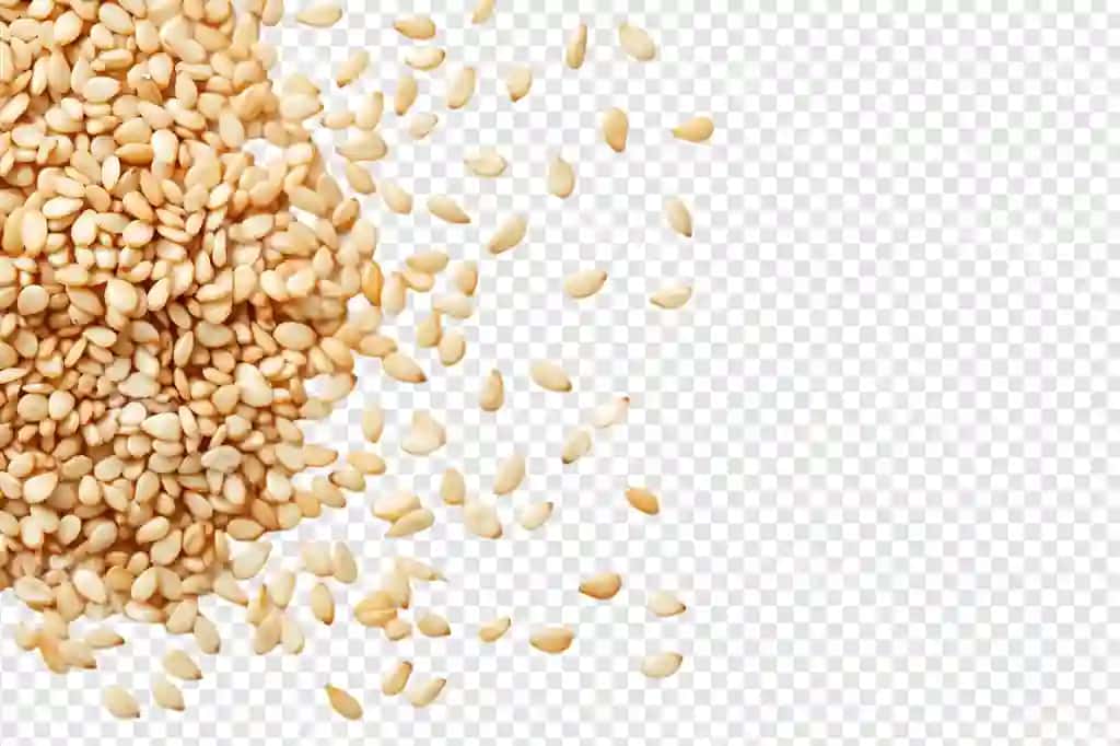 Sésamo urug'lari tarqatilgan ajralangan shaffof fonda | Sesame seeds scattered isolated transparent background