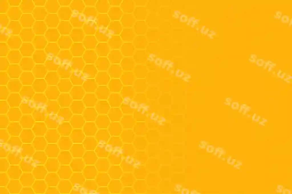 Asal uyi | Beehive