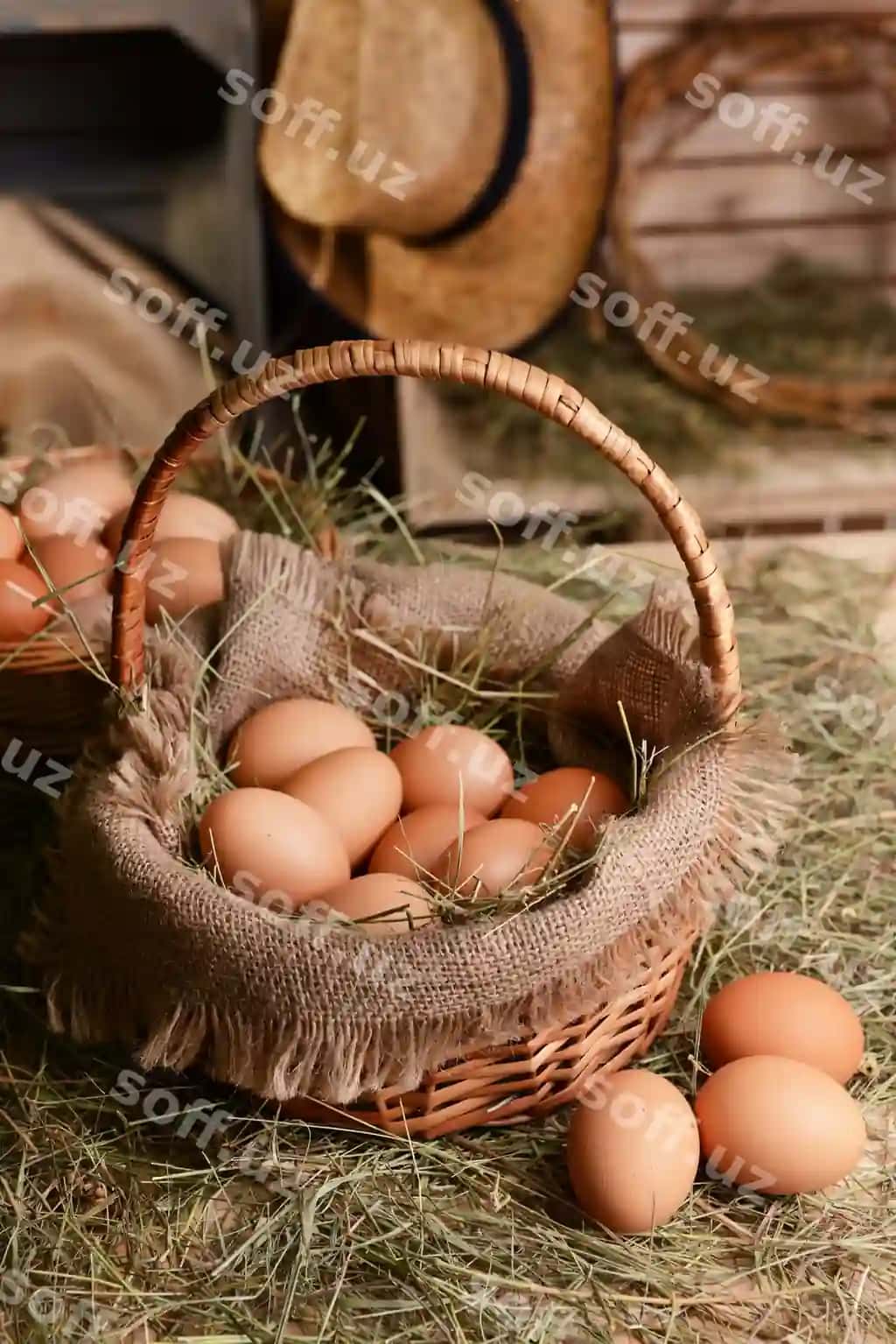 Tuxumlar jipdan qutcha stol yaxshi ko'rinish | Eggs wicker basket table close up 2