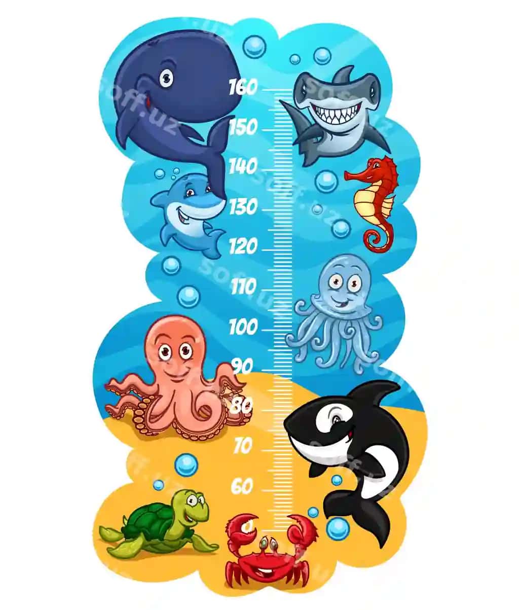 Dengiz hayvonlari mavjud bolalar balandlik jadvali va o'sish o'lchovi | Kids height chart with sea animals growth meter