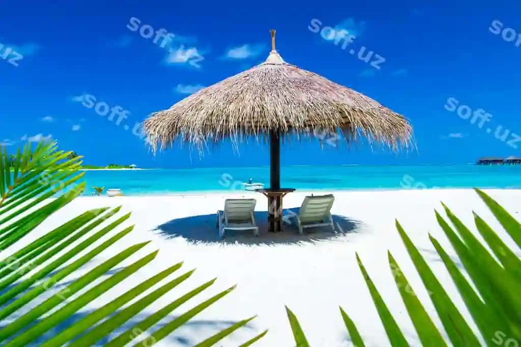 Tropik plyazh Maldivesda bir nechta pomidor daraxtlari va ko'k laguna | Tropical beach maldives with few palm trees blue lagoon