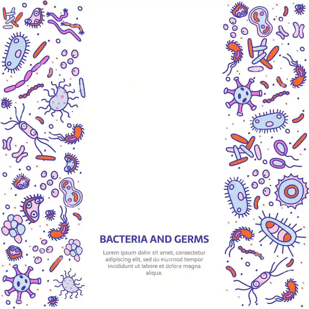 Bakteriyalar banner kvadrati | Bacteria banner square 2