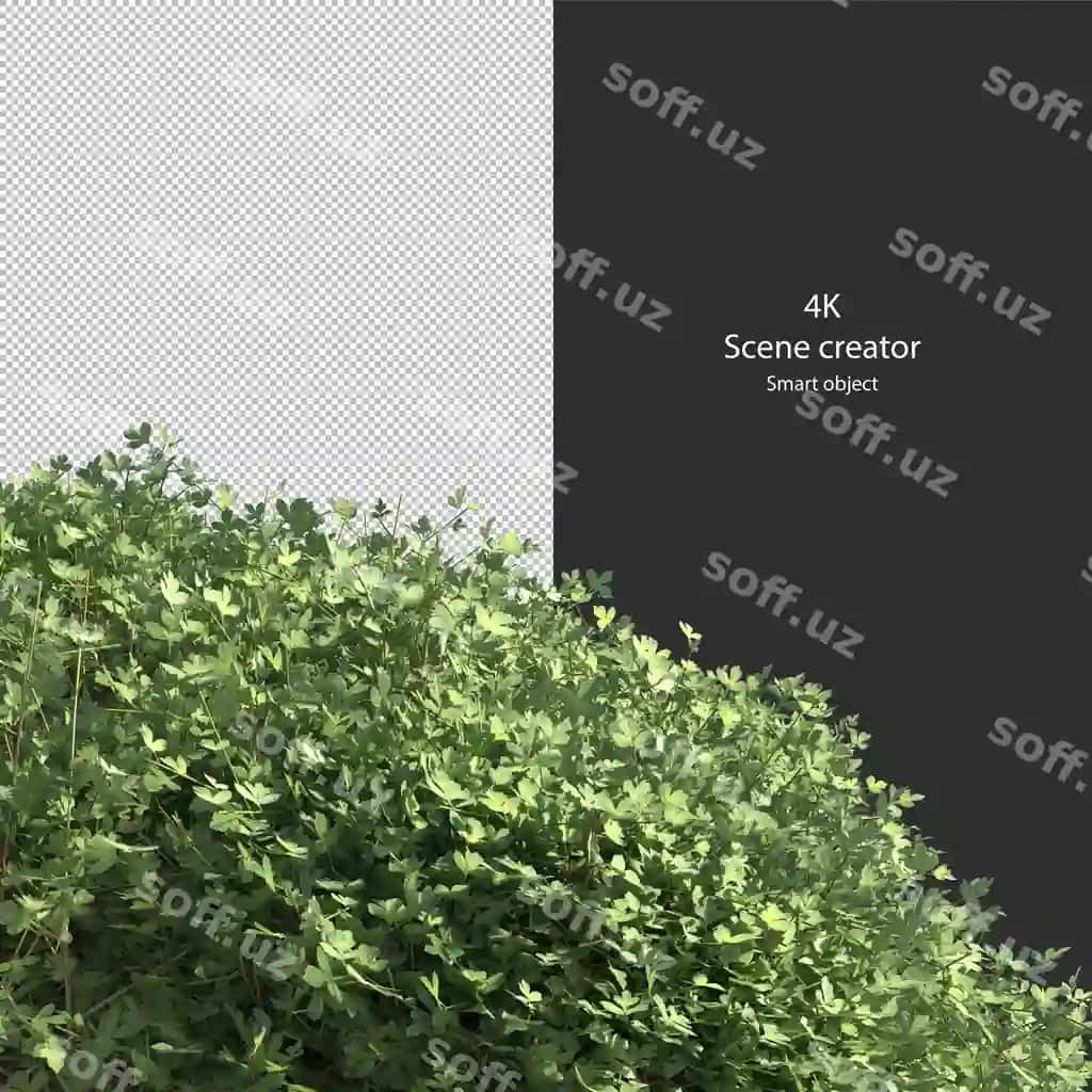 Turli xil turlar to'xtongich kichik o'simliklar chuqur o'simliklar shrub daraxtlar ajralangan render | Various types hedge small plants bushes shrub trees isolated rendering 2