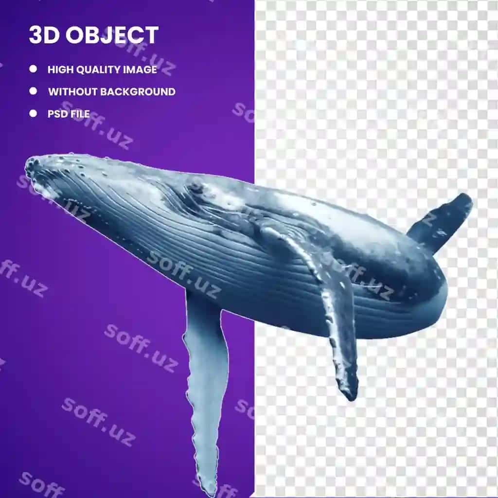 3d humpback kenguru ko'k kenguru velfin oddiy botul'nos delfini | 3d humpback whale blue whale wholphin common bottlenose dolphin